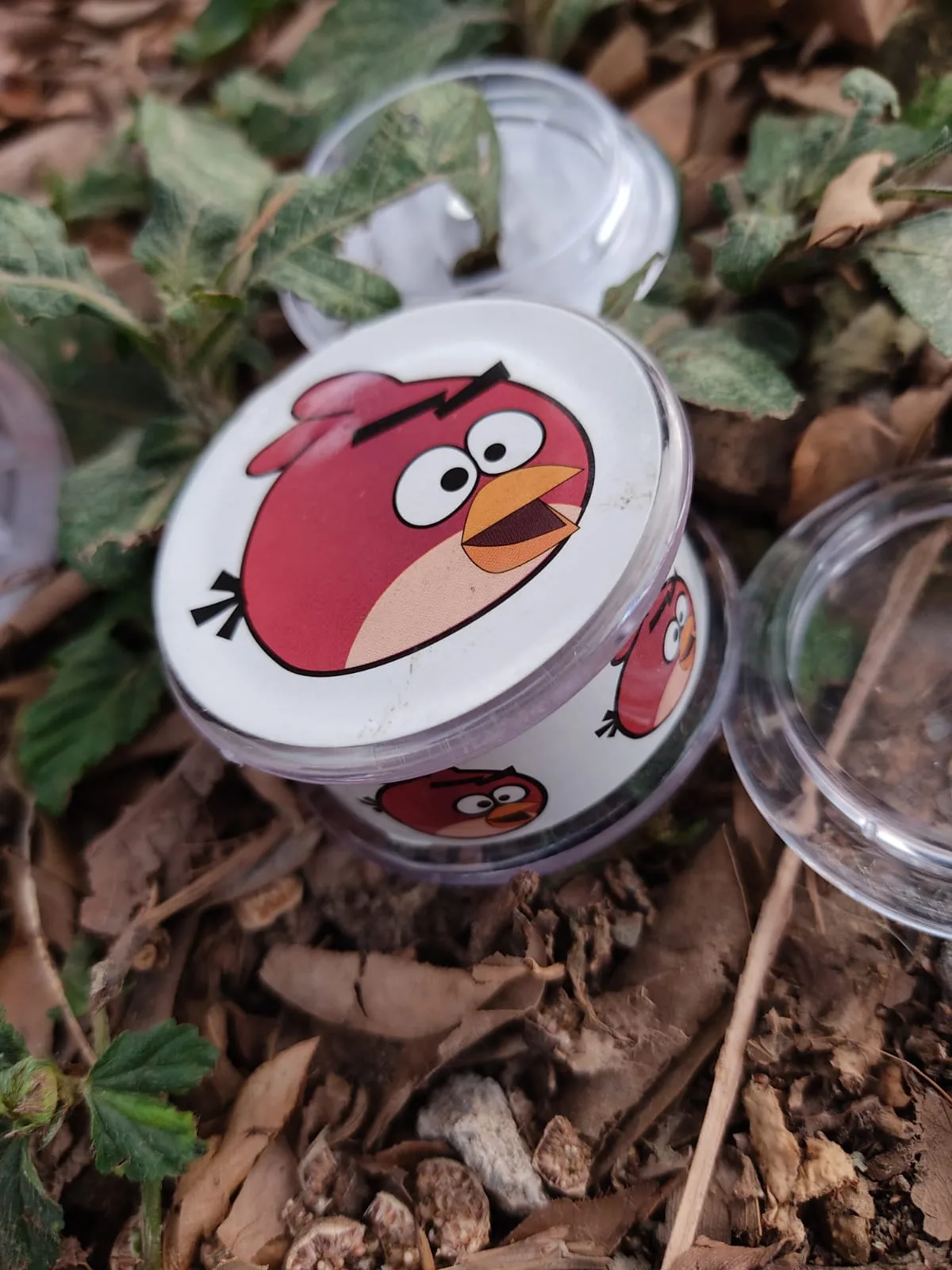 Rascador pasta pequeño diseños
