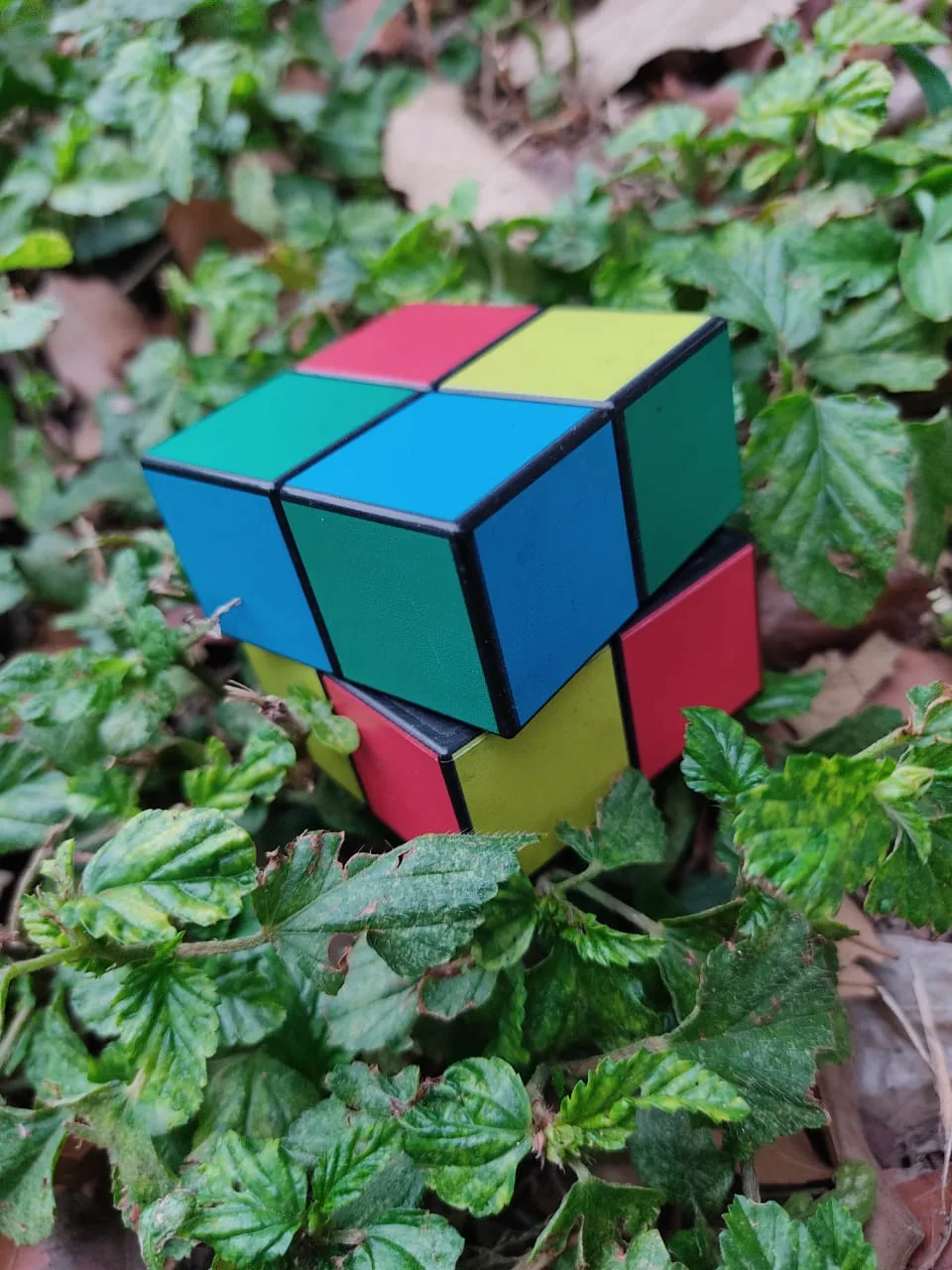 Rascadora Cubo Rubik