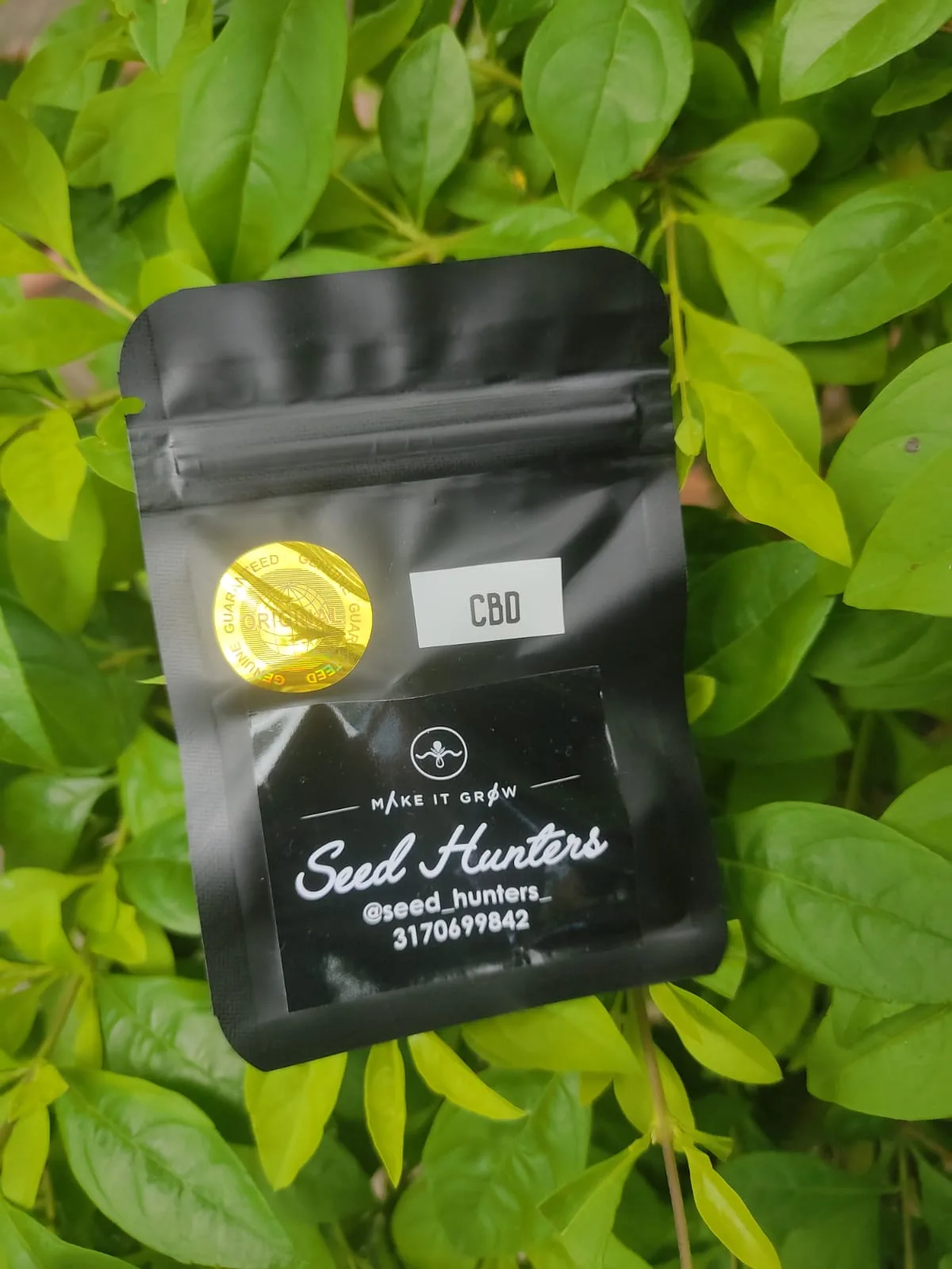 Sour Sue CBD feminizadas x2
