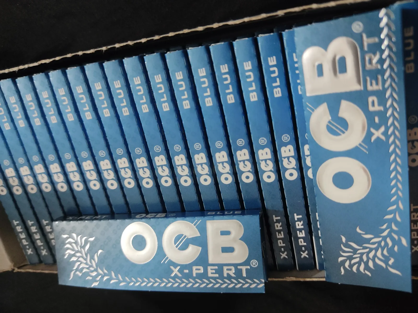 OCB blue-xpert #8