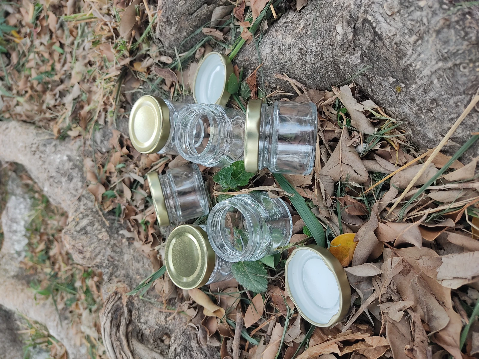 Recipiente 30ml hermético