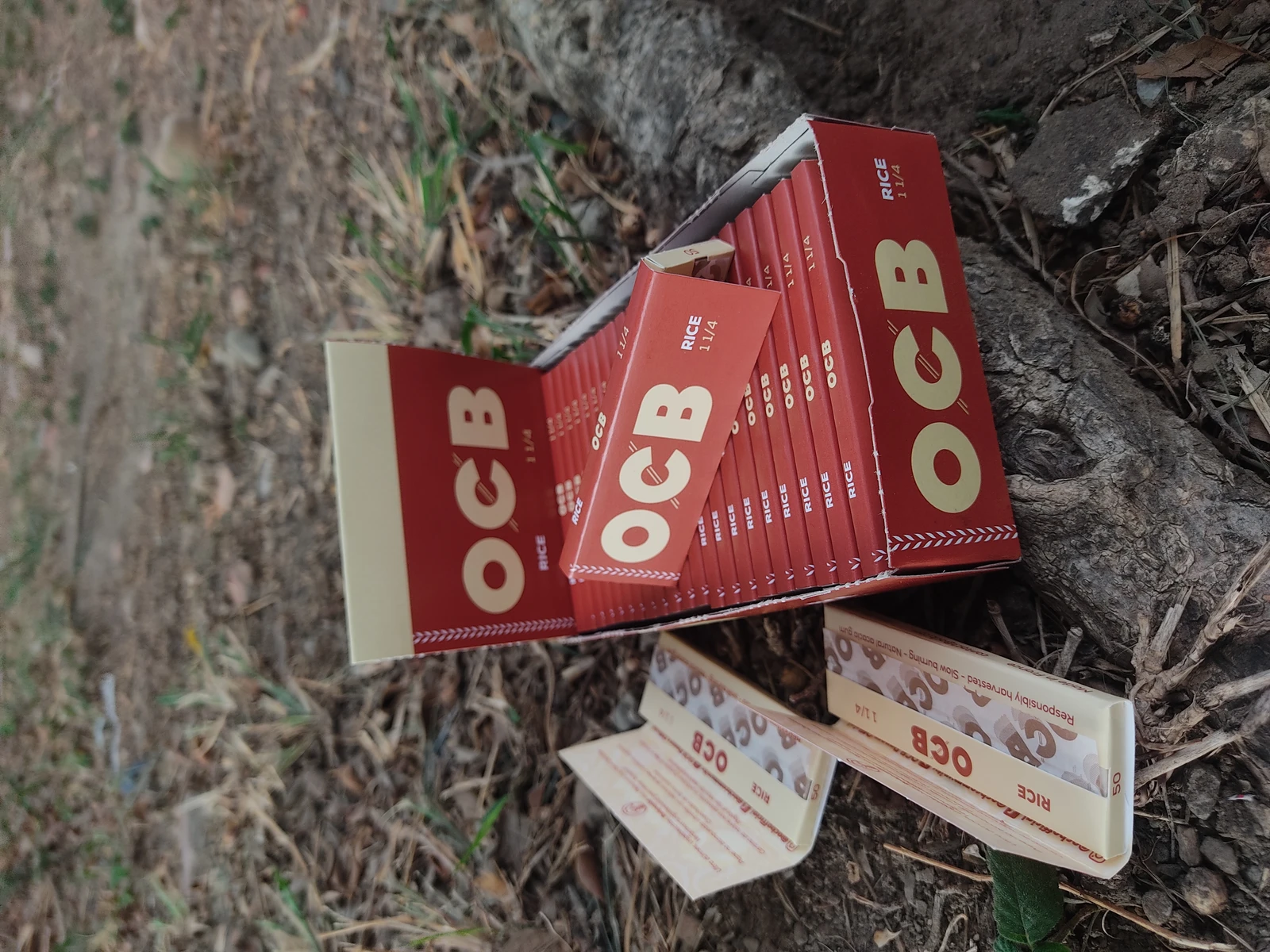 OCB arroz 11/4