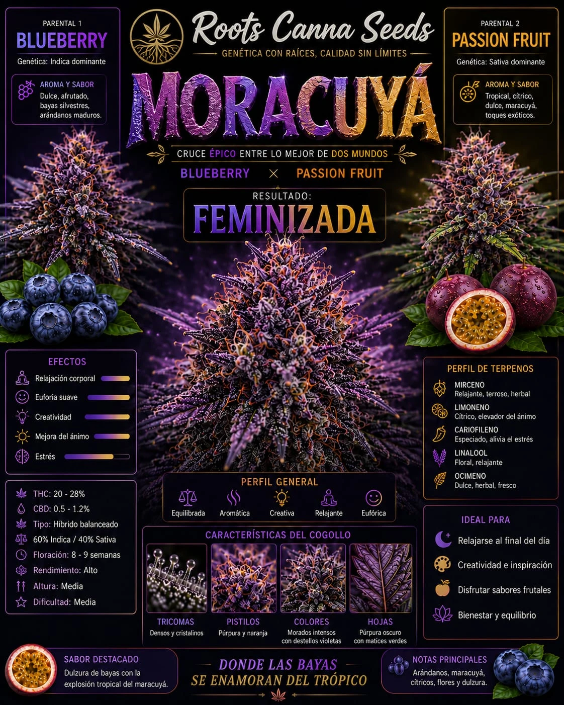 Moracuya x5 feminizadas + 3 regulares