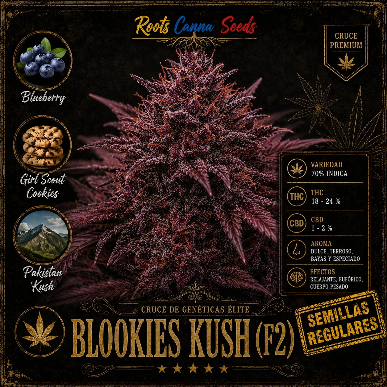 Blookies kush F2 regulares x12