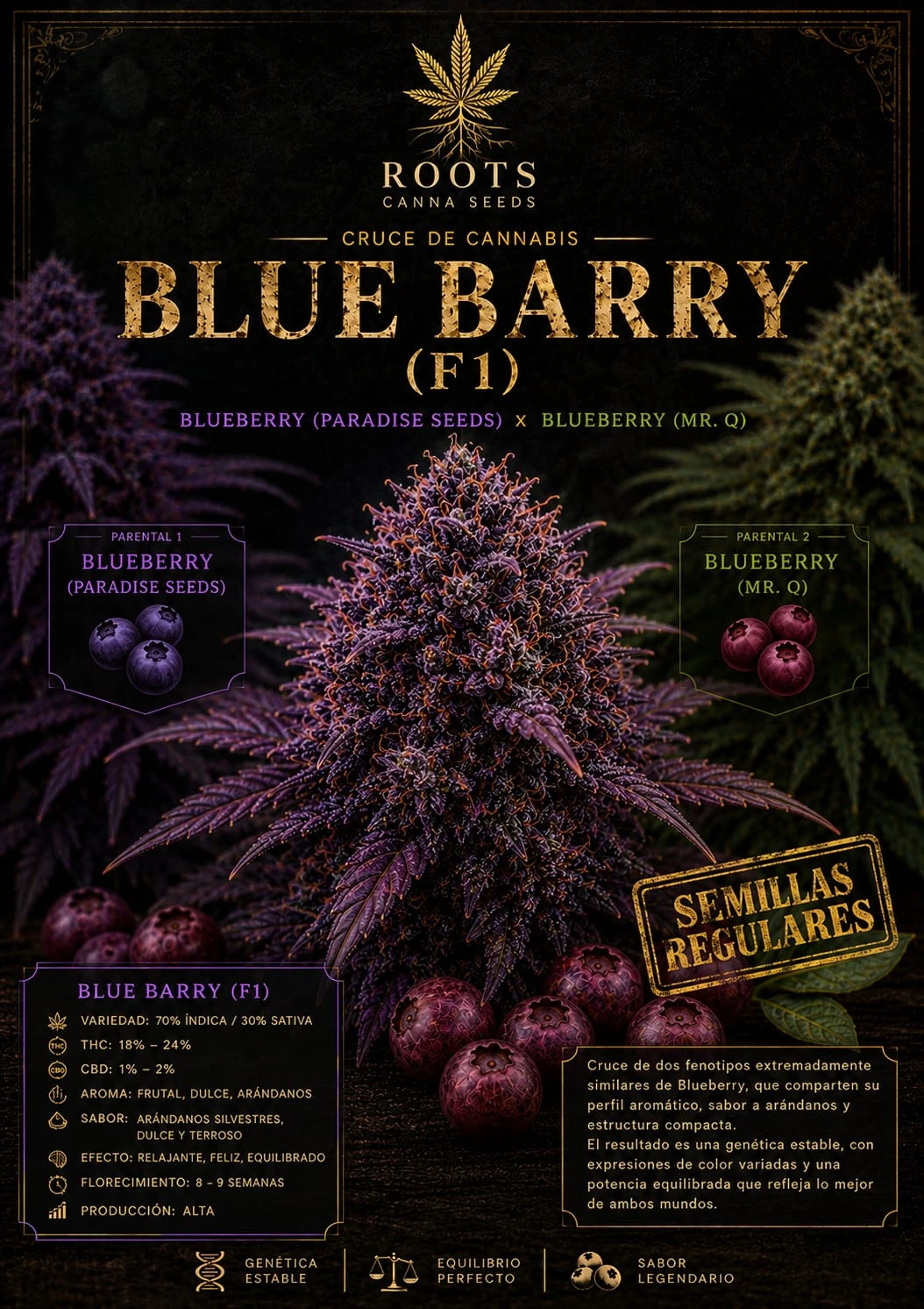 Blue Barry F1 regulares x12