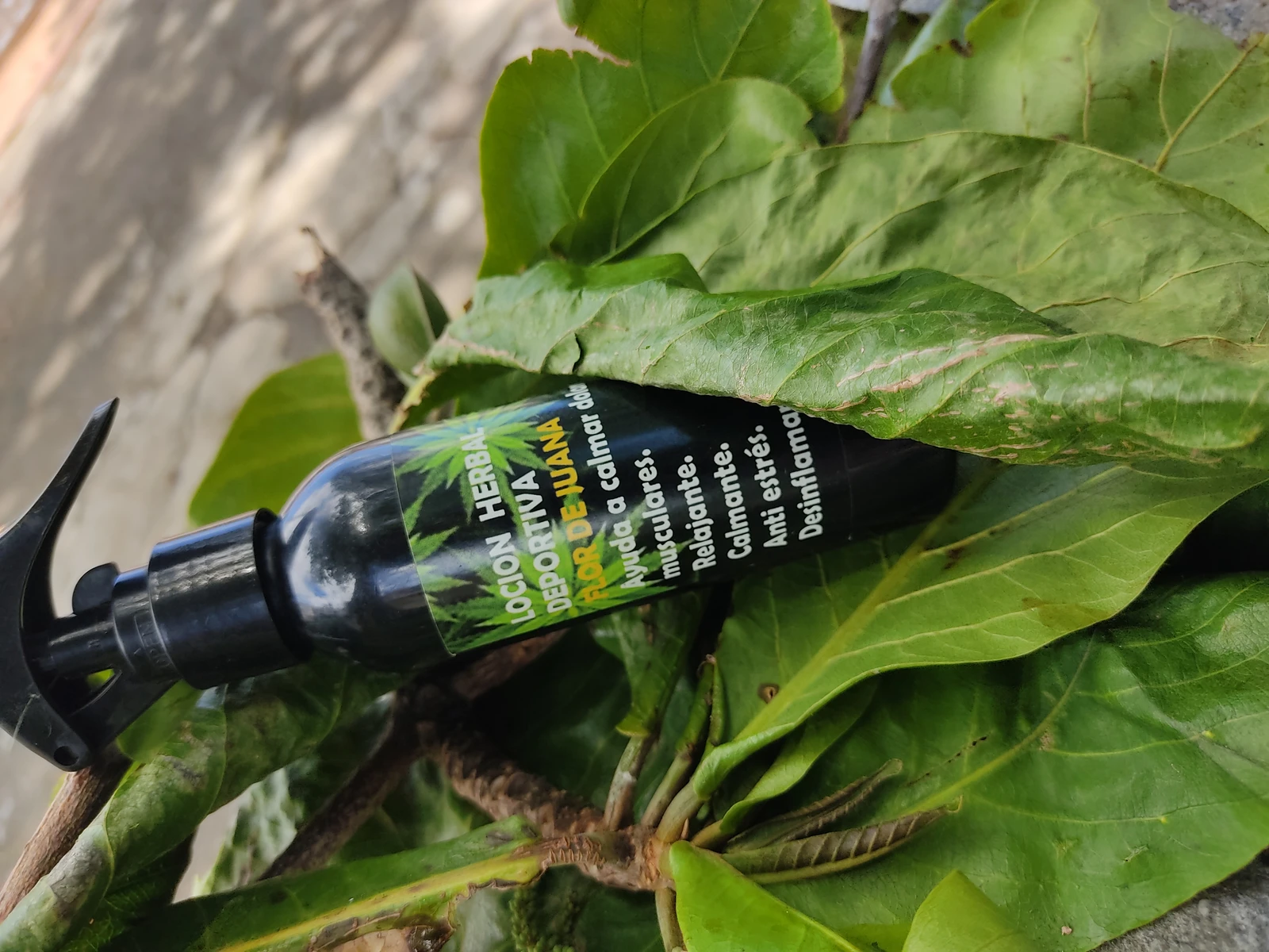Loción deportiva herbal 120ml